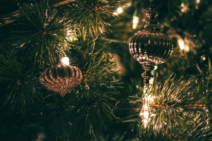 Christmas Tree: The Ultimate Guide to Christmas Trees