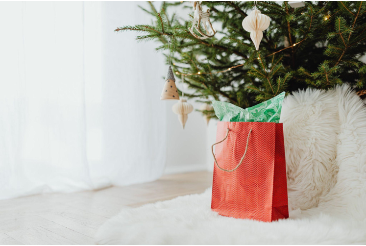 Finding Cheap Christmas Trees for a Joyful Season