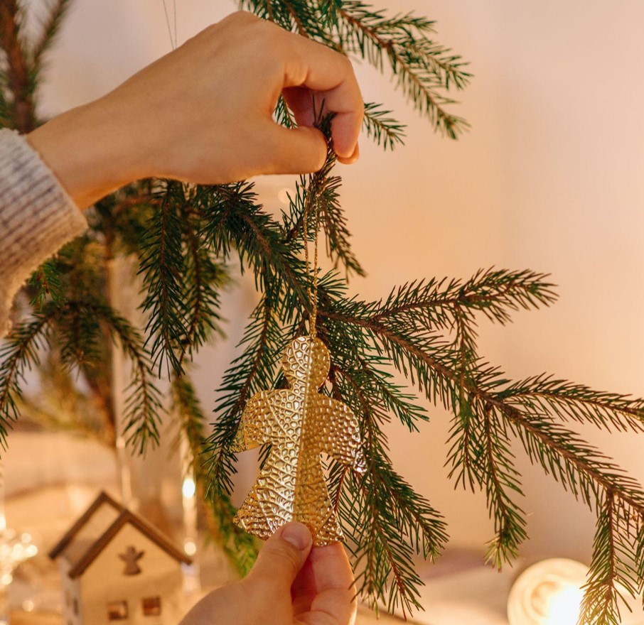Find the Perfect Christmas Tree for Sale This Holiday